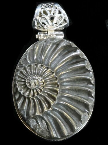 Pyrite Ammonite Fossil Pendant - Sterling Silver #37963